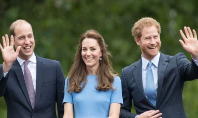 ‘Veiled criticisms’ of Kate are a ‘tougher obstacle’ for Harry and William to overcome