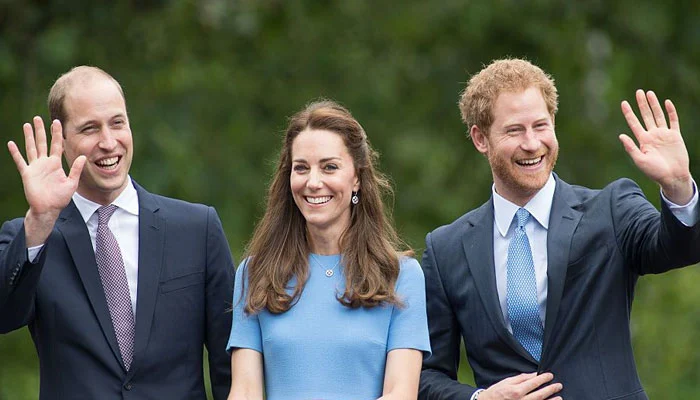 ‘Veiled criticisms’ of Kate are a ‘tougher obstacle’ for Harry and William to overcome